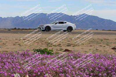 media/Jan-08-2023-SCCA SD (Sun) [[8f6a5b9391]]/Advanced Group/Session 2 (Short Straight)/